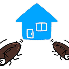 ゴキブリが発生しない家にするための5つの条件 隙間を作らない など ライブドアニュース