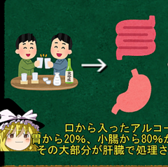 お酒を飲んだ後にラーメンが食べたくなる 実は科学的な理由あり ライブドアニュース