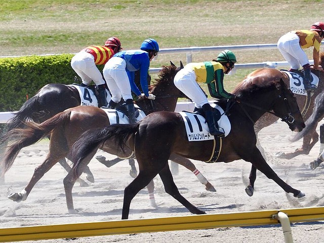 新潟3r 女性騎手3人が初競演 最先着は古川奈穂騎手 ライブドアニュース