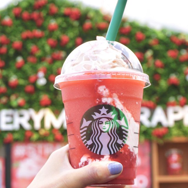  �����н�Υ������ӥˡ���ϥ���Ź�⥪���ץ󡣿���ե�ڥ����ΤΡȥ������᤮�륤�������ɤ�������� 