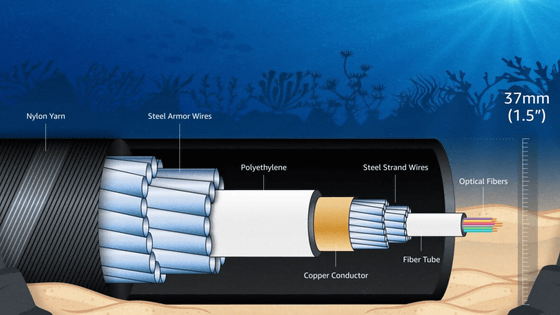 AWS�����������쥱���֥륷���ƥ��Fastnet�פ�ȯ��Ǥ����ȯɽ��2028ǯ�˱��ѳ���ͽ��