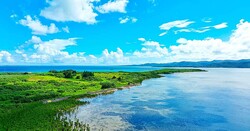 �ߤޤ̱��֥���󥰥ꥢ����פϤʤ�á�����Τ����ķкѻ︵�Խ�Ĺ������ô�ꥹ�������񤷤��ץ��������ȡפη�ǰ