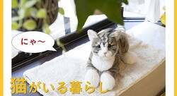  �ȥ��ɥޥ�������ǭ�����ܥå�10��ǯ��ǰ�֤ʤǤʤǤͤ������EX���꡼����ȯ�䡡���ť��󥵡���ܡ���Ǥ���Ĥ�����ȿ�� 