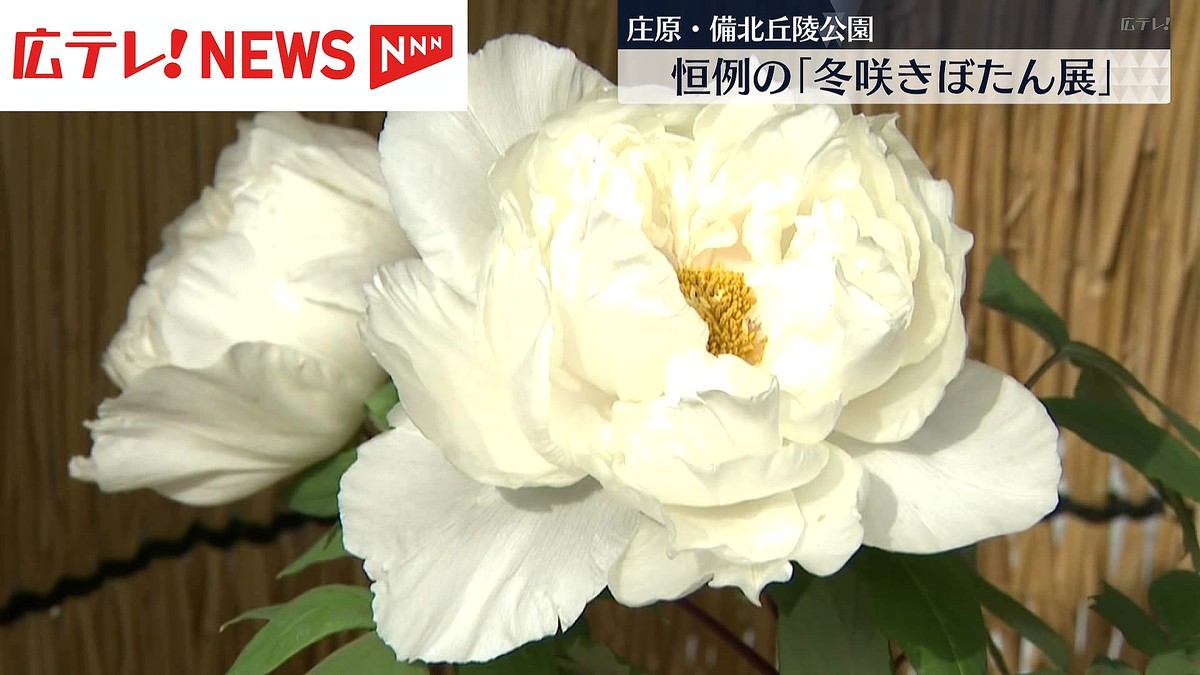 ����ƥ������