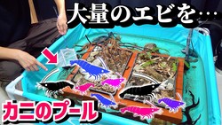 �����ー������̤Υ̥ޥ��Ӥ�ɥХä�����������Ƥ������塞�ˤ����Ȥζ���˥說�說���ߤޤ�ʤ�