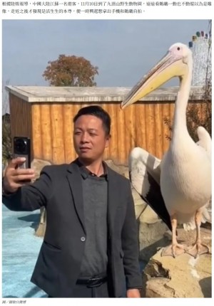 中国の動物園でペリカンと自撮りする男性。この後、予想外のハプニングが起こった(『人間福報 「遊客自拍太專心 遭「真正鵜鶘」灌頂嚇傻」(圖/擷取自微博)』より)