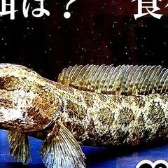 YouTubeꥨーĩȤ䤻ɡη̤ϡ