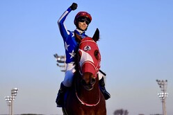 ����ޡ��ꥢ�饤�������ȤȺ���������� (C)Hiroki Homma