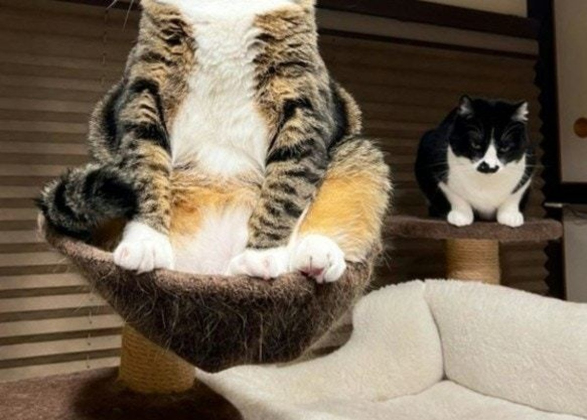 画像が削除されました