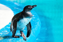 関東編 子どもと行きたい無料の遊び場5選 博物館から動物園まで ライブドアニュース