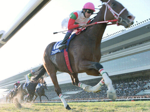 「ウマ娘」で再び脚光を浴びる 蘇る名馬の真髄とは