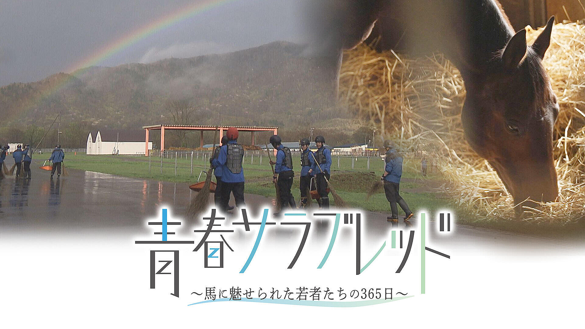 青春サラブレッド ～馬に魅せられた若者たちの365日～【期間限定配信】 (2025年7月21日掲載) - ライブドアニュース
