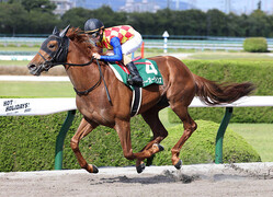 ����ǯ���󥿥쥹�Ӥ�ľ��ȴ���Ф�����ǥ����뤹��ơ�����������