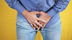 ���������ҿ��ϡ��������Ϥ�Ⱦ���פ��Ƥ����ı���ʪ�����������ԻԲ��ˤȤɤޤ�ʤ��ȷ���Ū���װ��ɤȤ�