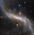 ڢ ϥå֥뱧˾HSTˤι3WFC3ˤǻƤ줿ϡNGC 4731סCredit: ESA/Hubble & NASA, D. Thilkerˡ