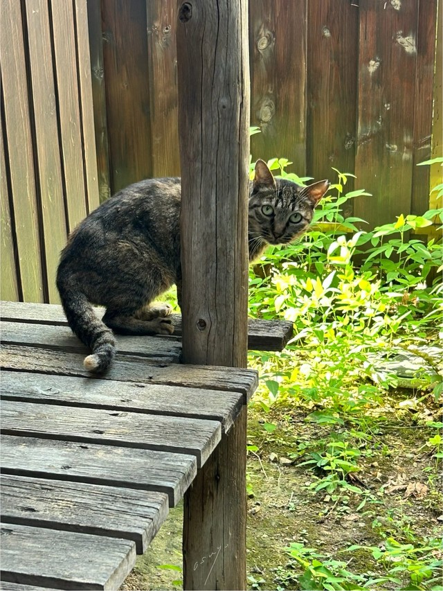 ٤ζȤˤʤ뤿ݸաʤ褵󶡡̿ϼ¦ˤơ