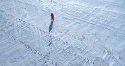 �Ȥ���Τޤޡɤκ������˿���롢�ɥ����󥿥꡼�ǲ�פ�����