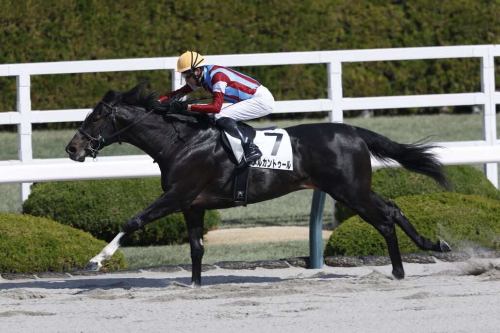 3歳1勝クラス・メルカントゥールと坂井瑠星騎手
