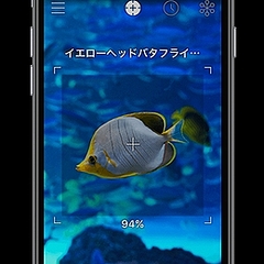 Iphoneをかざすと生物の名前が分かるアプリ登場 精度は90 前後 ライブドアニュース Iphoneをかざすと生物の名前が分かるアプリ登場 精度は90 前後 ライブドアニュース