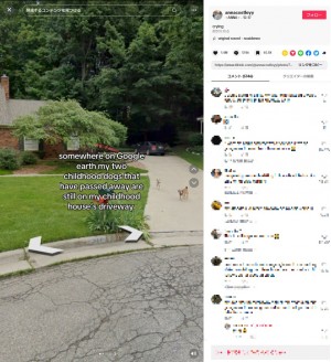 ����ꥫ�߽��ν����������ޤ��ä��Ȥ�Google���ȥ꡼�ȥӥ塼��õ�������Ȥ������פ�̸��ʤ˴��ˤޤä��ʡ�ANNA��TikTok��crying�ס٤���