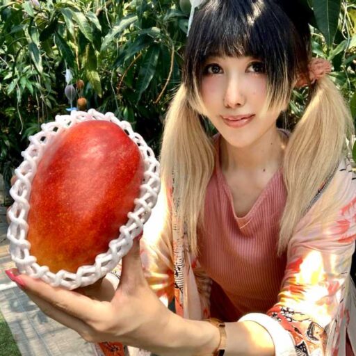 マンゴーは世界三大果実に 静岡県田方郡函南町で見つけた驚きの珍味