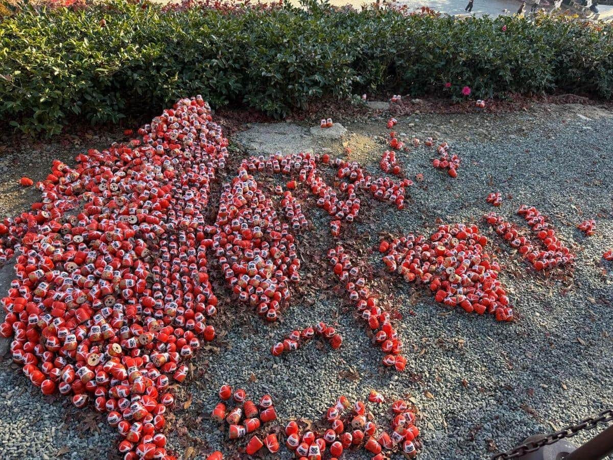 勝尾寺の境内にダルマで台湾友好メッセージが作られ、崩された。写真提供：Threadsユーザー（＠cwsocool_）さん