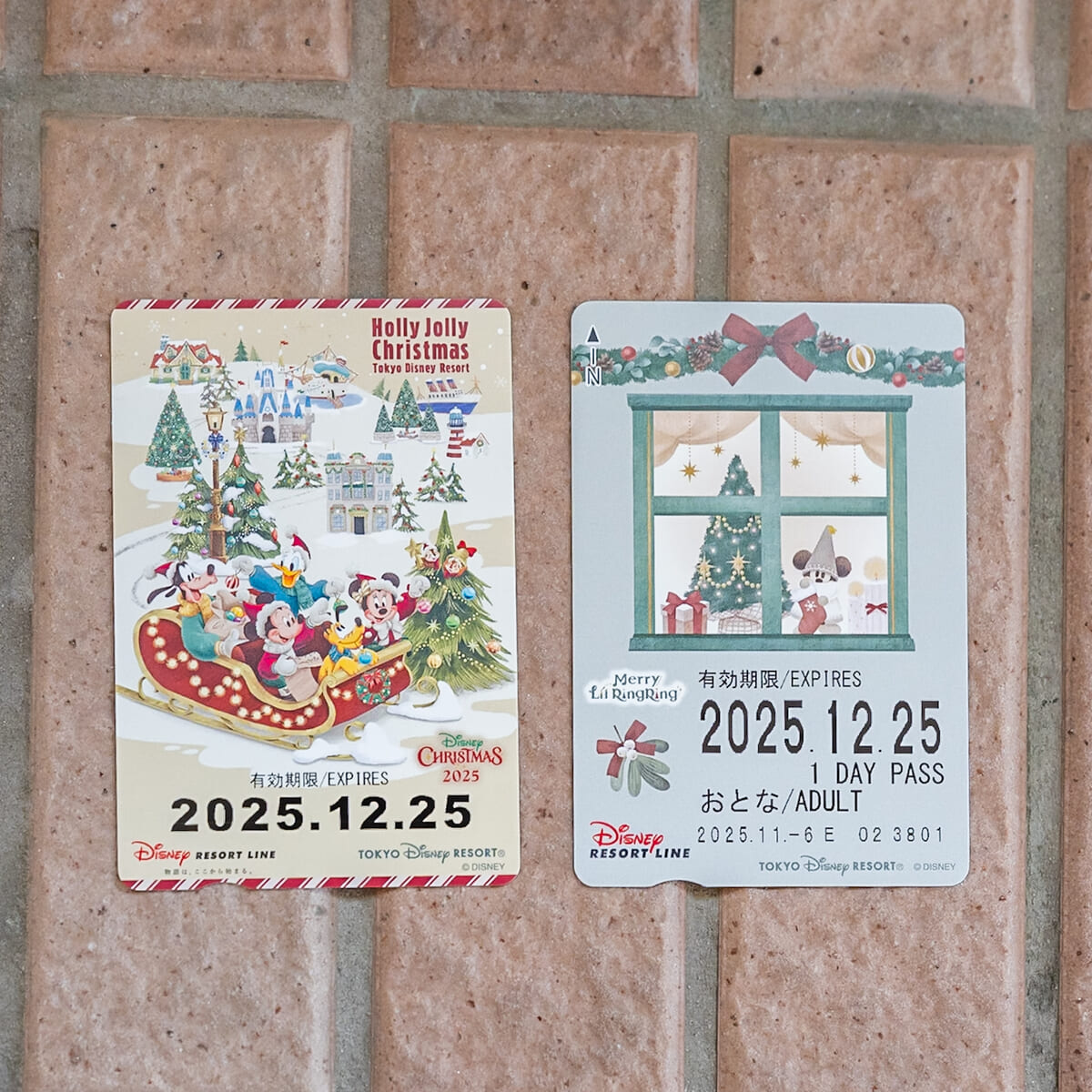 ディズニーリゾートライン “ディズニー・クリスマス2025”