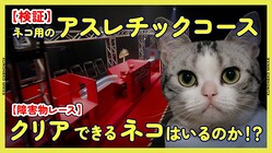 �ڸ��ڡۥ�ޥȱ�͢���ܵ��Ǻ�ä�ǭ�ѥ����������ꥢ�Ǥ���ͥ��Ϥ���Τ�����