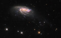 ڢ ϥå֥뱧˾ǻƤ줿ϡJO206סCredit: ESA/Hubble & NASA, M. Gullieuszik and the GASP teamˡ