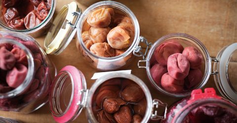 梅干し研究にゴールなし！ 本田明子さんが語る梅仕事の魅力