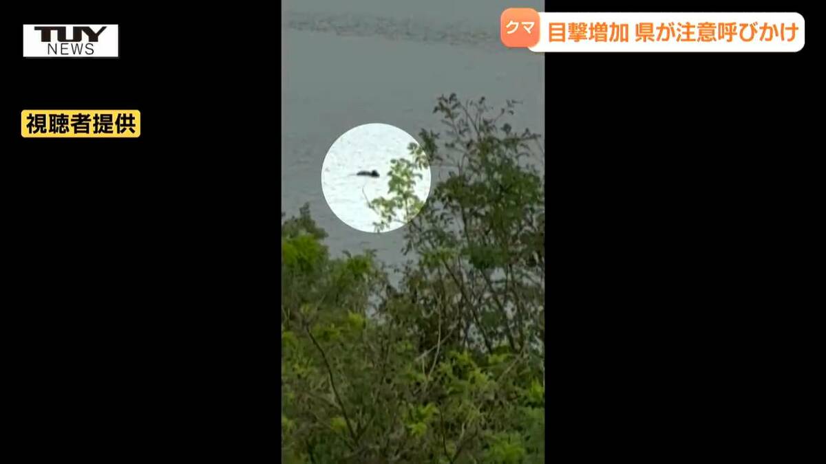 川を泳いで陸に上がるクマが...県内でまたクマ目撃 県は「クマ出没警報」発令中（山形） (2025年7月15日掲載) - ライブドアニュース