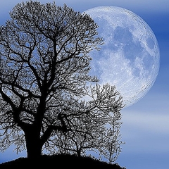 韓国声優がアニメ挿入歌の発売を計画 不買運動と逆行する結果に ライブドアニュース