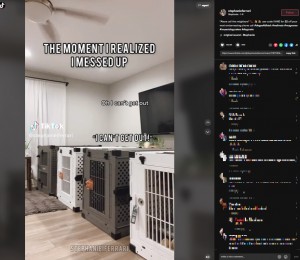 新しいクレートに入り出られなくなったカップル(画像は『Stephanie 2023年1月11日付TikTok「“Alexa call the neighbors”」』のスクリーンショット)