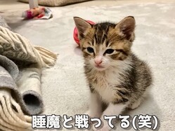 ��ä�ͷ�Ӥ����ߤ��������ɡ�