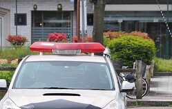 �ѥȥ����ʥ��᡼����