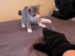 ������ʤ����˿��Ť��襤��ĩ���ǭ���ä����ġġ�