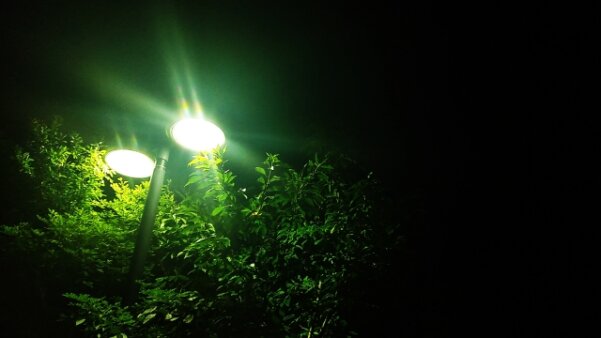 ͩ� ���ä�������Ҥ����ʤ��ġĥХ���ž��ζ����θ��ڲƤβ����ý���