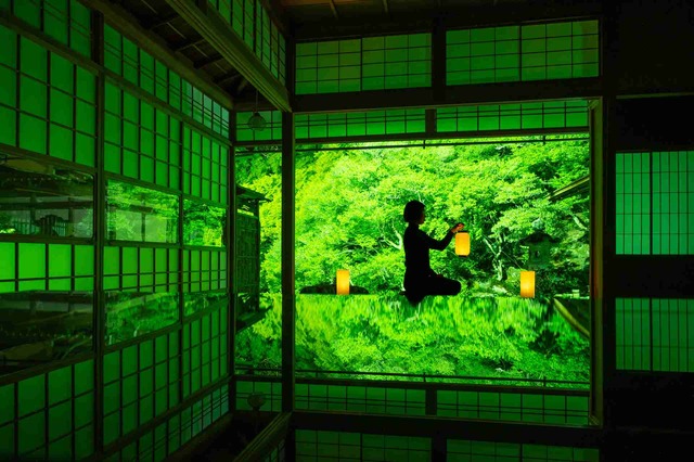完全予約制、写真で「食」と「風景」を楽しむフォトイベント!東光寺、新緑の食景ー新緑ライトアップー