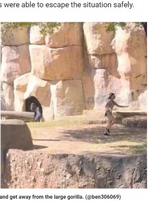 飼育員が屋外の展示エリアにいる時、ゴリラが鍵を開けて侵入。同じ空間に居合わせてしまうアクシデントが発生した(『Fox News 「Shocking video shows zookeepers attempting to escape gorilla enclosure at Texas zoo」(@ben306069)』より)