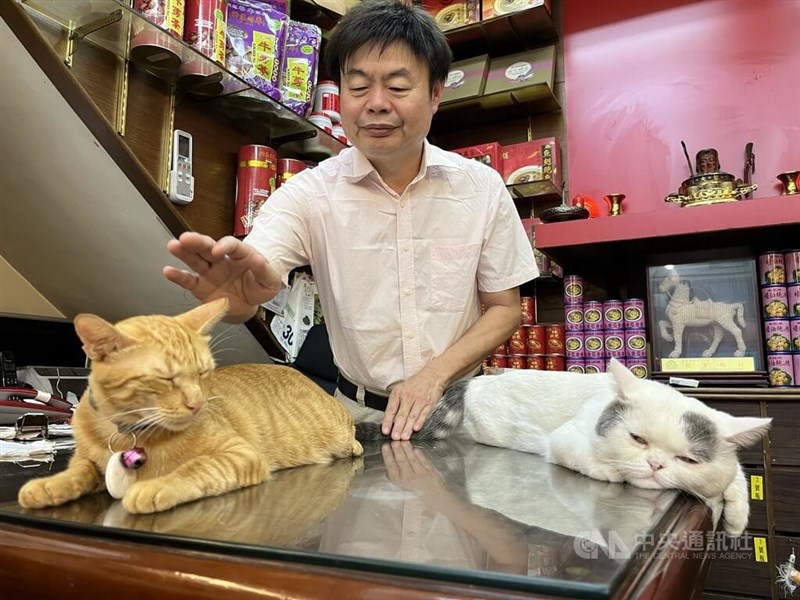 漢方薬局の猫店長の「マニー」(右)と副店長の「可楽」。中央は店主の蕭錫座さん