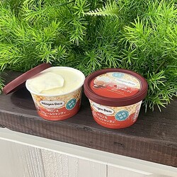 2����η�����Ѥ�����ー������å� �ߥ˥��åסɥޥ��������ー�ॷ���ƥ��ɤ���ȯ��!