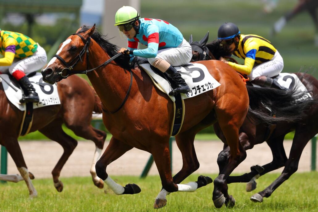 2歳新馬戦・トップチェッカーと北村友一騎手 (C)masamasa