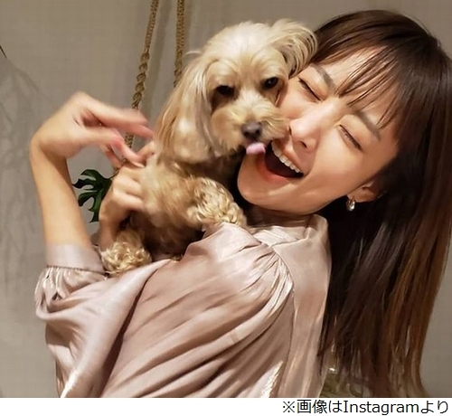 ͥƺڤפˤĤƸ ֤̤ߤʿͤǡġĤ礦ɤ