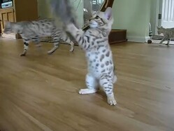��­��ѥ��ѥ������ơ���������ͷ�ֻ�ǭ����