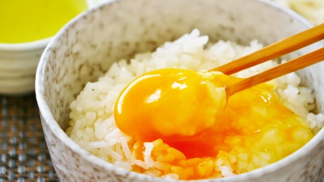 ���������뿩�᥷�ϡ�TKG��
