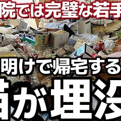 ��ǭ���µ��ˤʤ뤫��ġ�20��Ǹ�դν��������߲��ߤȲ�������������դ���ȷ�դ����Ȱ�ǭ�����SOS��