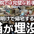 ゴミ屋敷の20代女性 愛猫からSOS