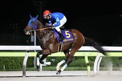 JDC���ʥ륫�ߤȸͺ귽������ (C)Hiroki Homma