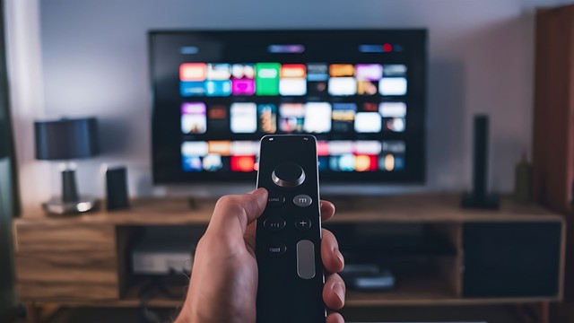 年代別の動画視聴サービスの定番 20~40代の1位はYouTube、50代以上は…