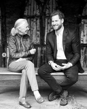 昨年、英版『VOGUE』の企画で対談したグドール博士とヘンリー王子(画像は『The Duke and Duchess of Sussex 2019年7月30日付Instagram「Earlier this summer HRH The Duke of Sussex met with world renowned ethologist Dr. Jane Goodall for an intimate conversation on environment, activism, and the world as they see it.」』のスクリーンショット)